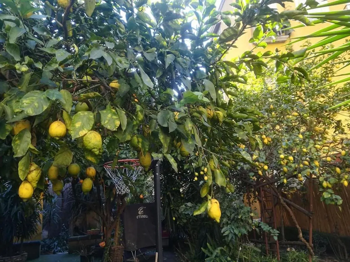 La Limonaia Di Chiaia Lägenhet Neapel