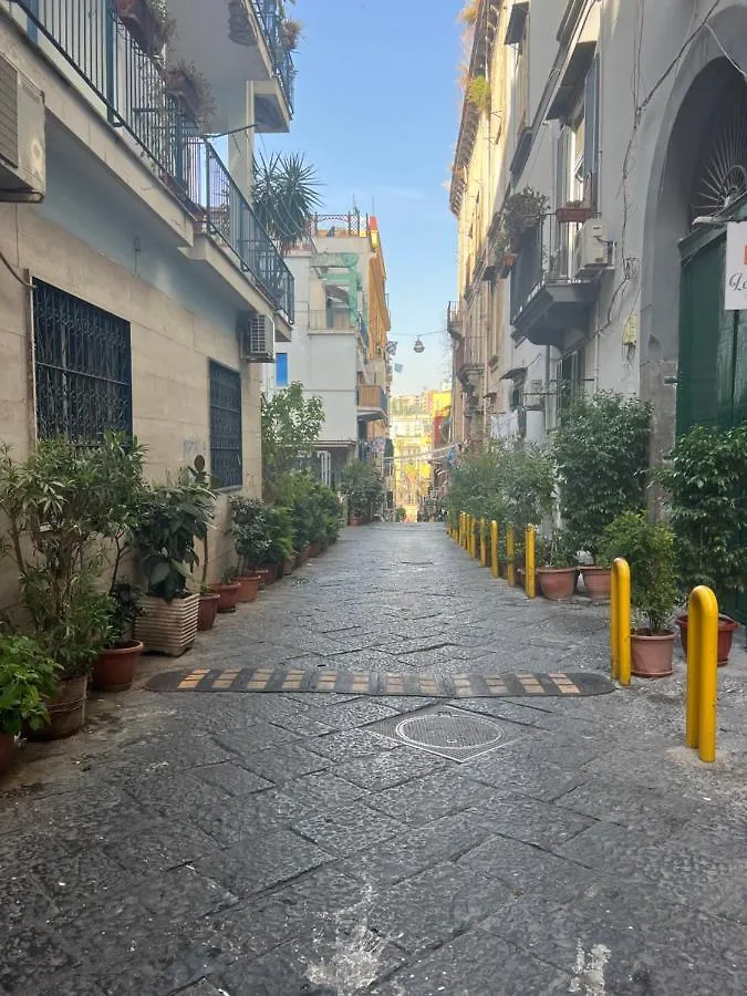 La Limonaia Di Chiaia Διαμέρισμα Νάπολη Ιταλία